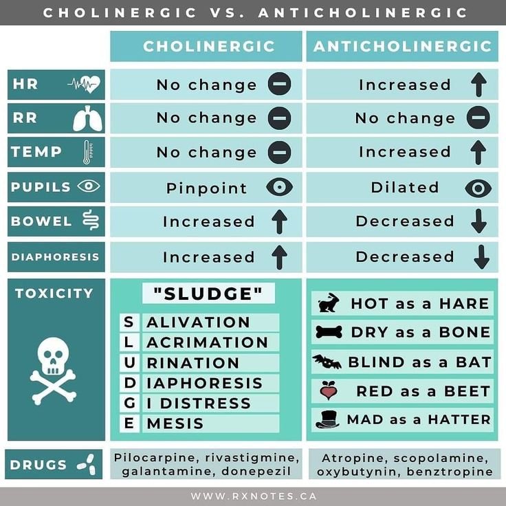 LLM knowledge graph drug purpose
