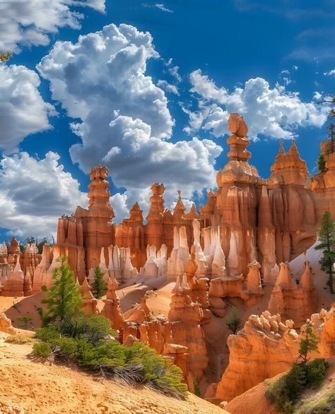 best national parks to visit in the US
