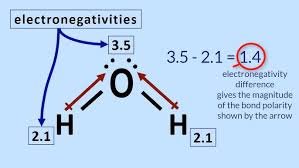 electronegativity chart
